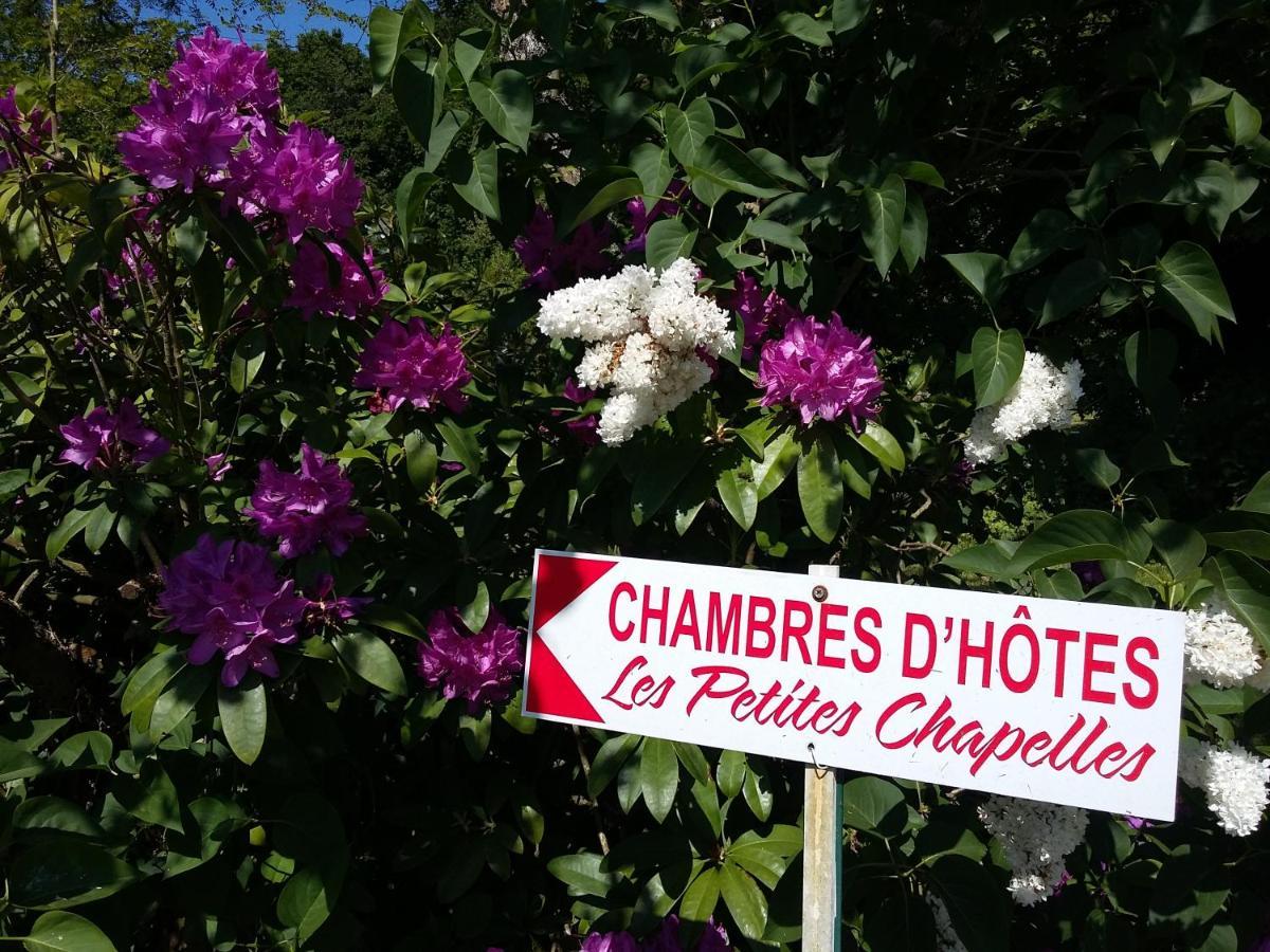 Les Petites Chapelles Bed and Breakfast Saint-Pierre-de-Plesguen Eksteriør billede